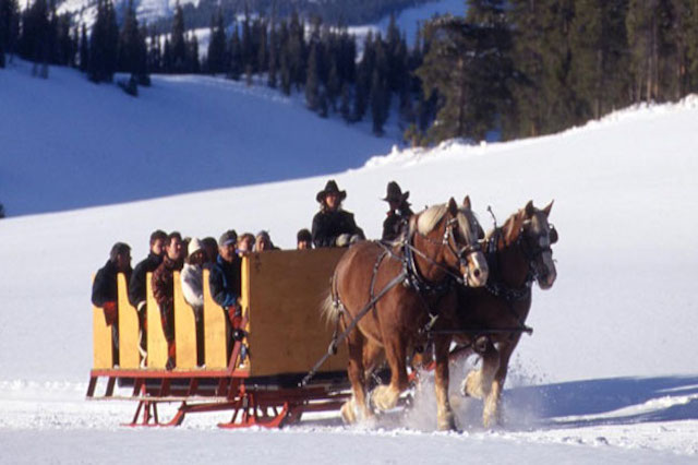 Sleigh Ride Dinners In Vail And Beaver Creek Mountain Resort