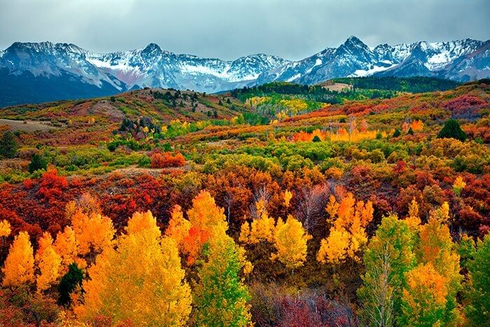 Fall Events In Vail Mountain Resort Concierge Fall Events In Vail Mountain Resort Concierge